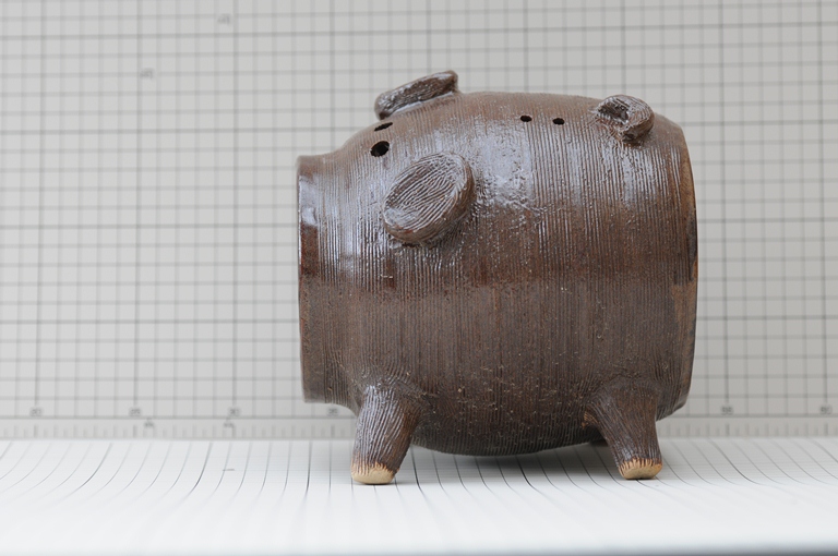 カヤリブタ№10