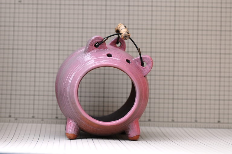 カヤリブタ№22