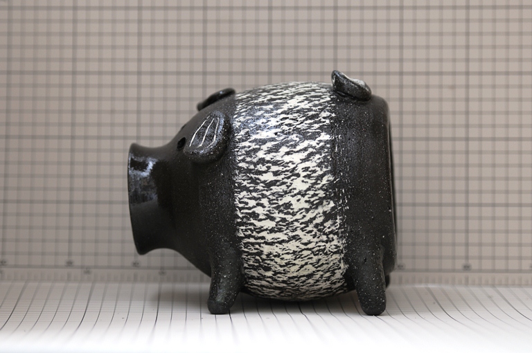 カヤリブタ№25