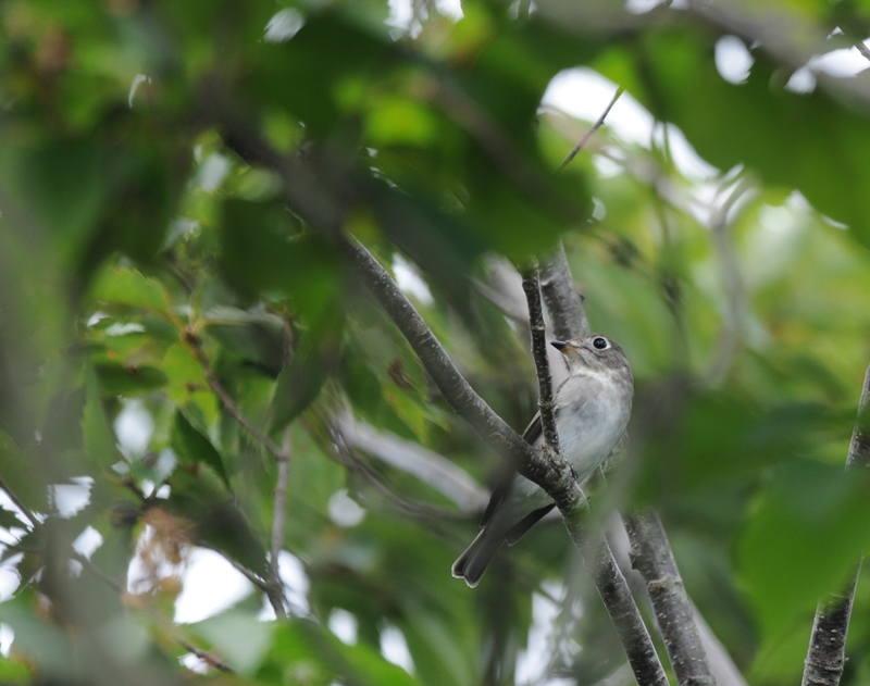今日の溜＆お山