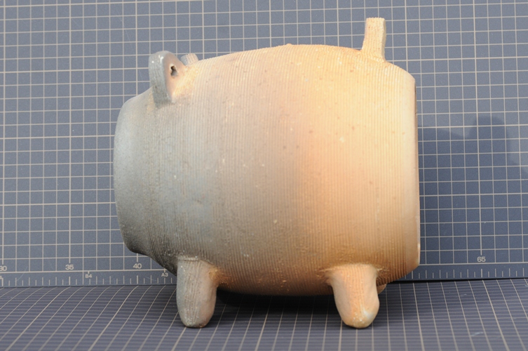 カヤリブタ№48