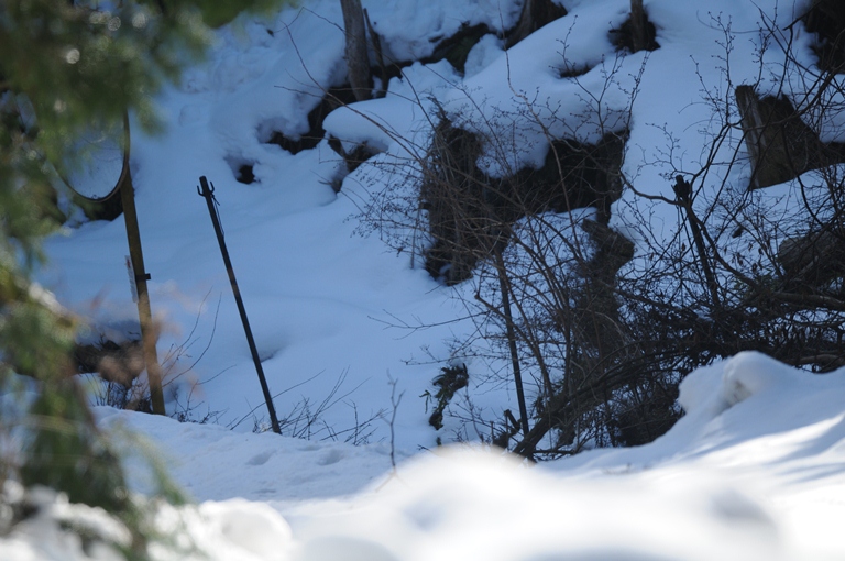 お山の雪　2/15。