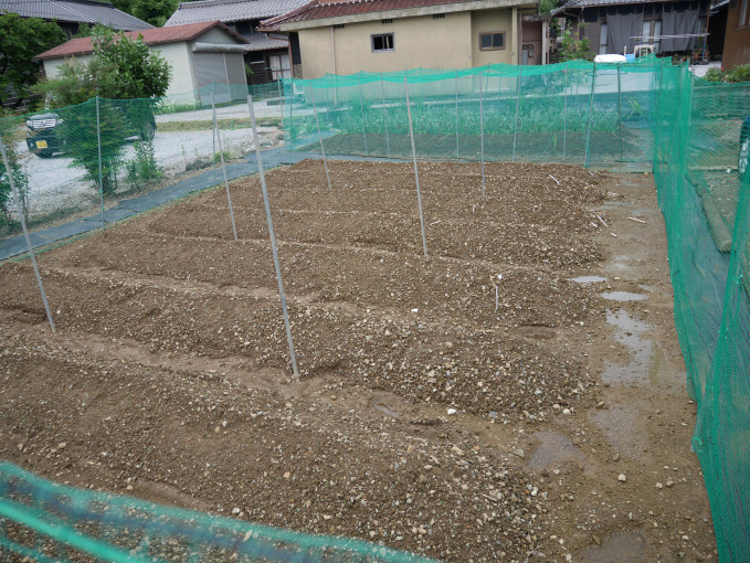 土いじりしませんか⑤