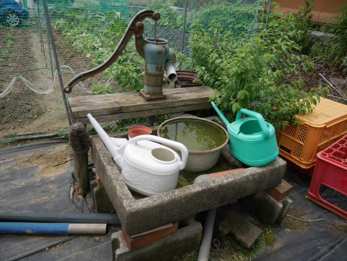 土いじりしませんか。