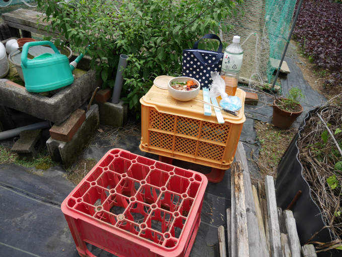 土いじりしませんか。