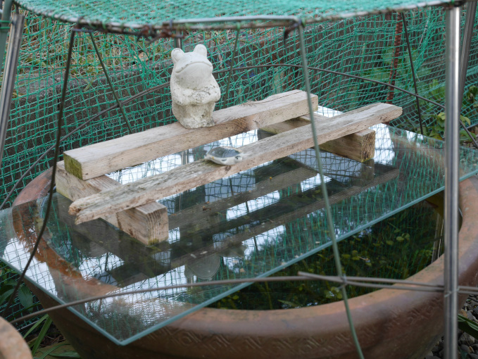 今日もやや巣ごもり②