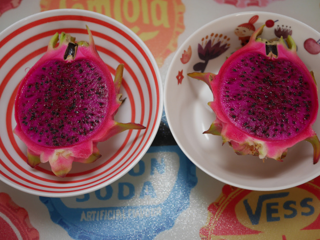 ドラゴンフルーツ１個目収穫