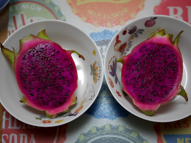 ドラゴンフルーツ２個目収穫