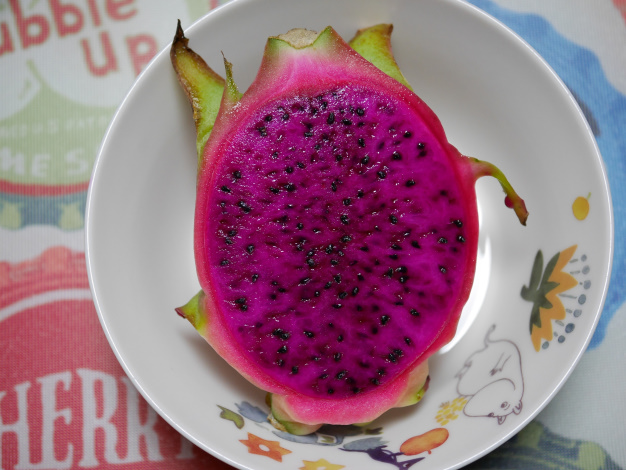 ドラゴンフルーツ２個目収穫