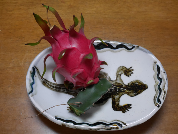 ドラゴンフルーツ⑩